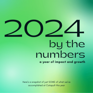 Graphic that reads "2024 by the numbers