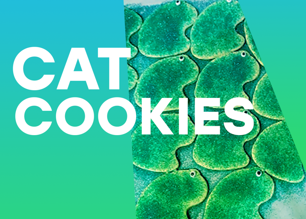 Cat Cookies